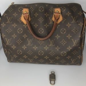 Louis Vuitton Speedy Handbag 35